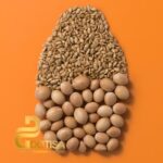 نرم کننده مو او جی ایکس مدل Keratin Oil حجم 385 میلی لیتر