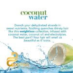 شامپو مو او جی ایکس مدل Coconut Water حجم 385 میلی لیتر